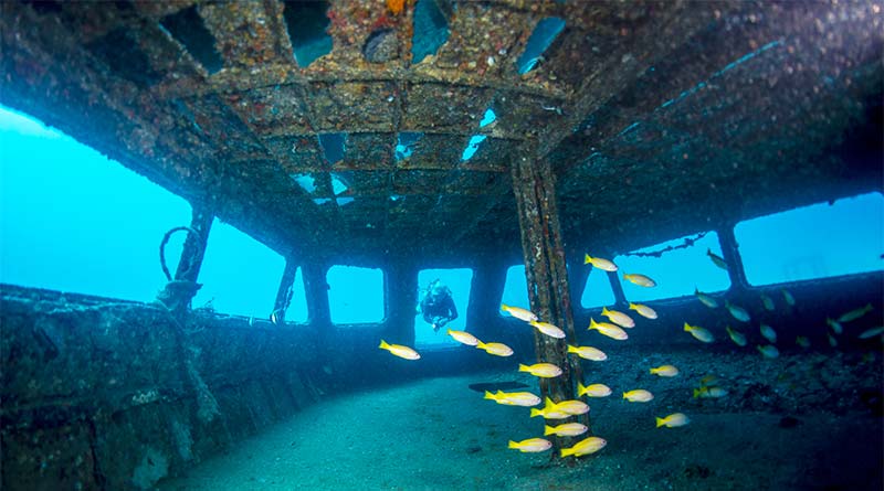 Tauchen in Thailand in einem gesunkenen Schiff